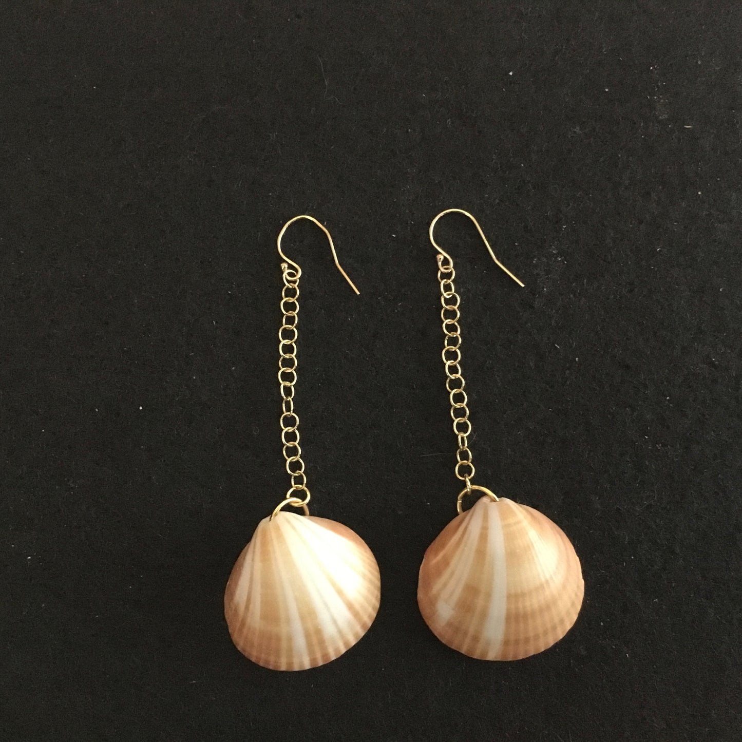 Shell earrings