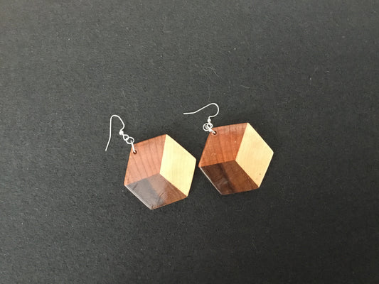 3D Cube Earring