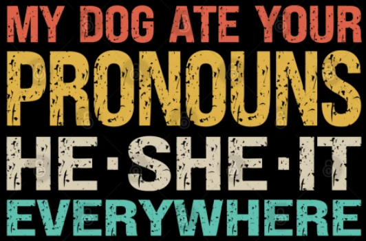 Fuck Your Pronouns! (Sticker/Decal)